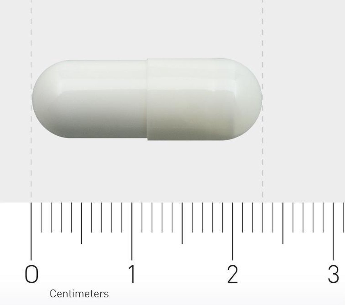 Orthica L-Glutamine-5003 Orthica L-Glutamine-5003