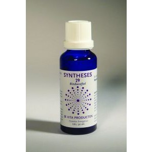 Syntheses 29 bindweefsel/ fibro vita