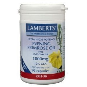 Teunisbloem met Borage Lamberts