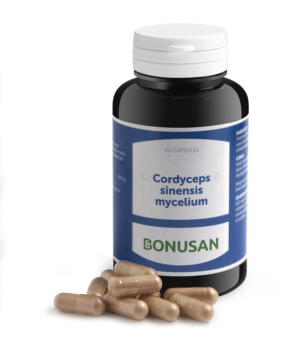 Cordyceps sinensis mycelium Bonusan