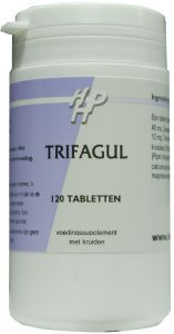 Trifagul holisan