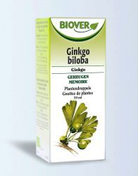 Ginkgo biloba tinctuur