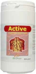 Active