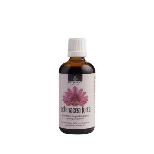 Echinacea forte Jacob Hooy