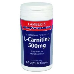 L-Carnitine 500 mg Lamberts