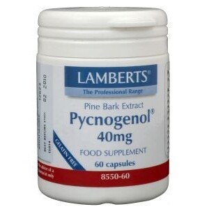 Pycnogenol 40 mg lamberts