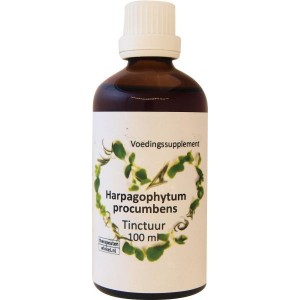 Harpagophytum procumbens