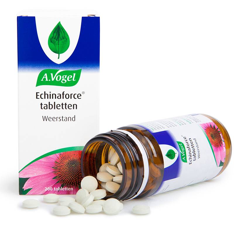 Echinaforce Vogel 200tab