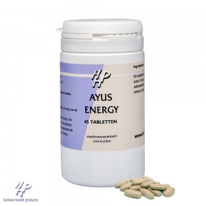 ayus-energy holisan