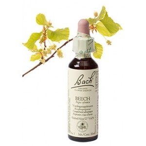 Bach Bloesem Remedie Beech Lemon Pharma (20ml)-0