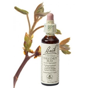 Bach Bloesem Remedie Chestnut Bud Lemon Pharma (20ml)-0