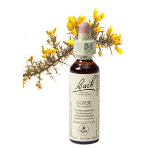 Bach Bloesem Remedie Gorse Lemon Pharma (20ml)-0