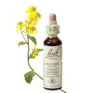 Bach Bloesem Remedie Mustard Lemon Pharma (20ml)-0