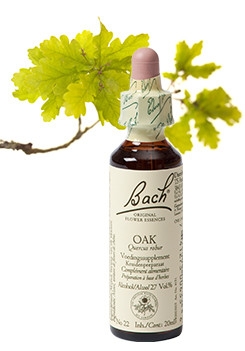 Bach Bloesem Remedie Oak Lemon Pharma (20ml)-0