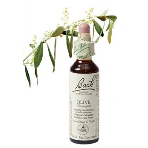 Bach Bloesem Remedie Olive Lemon Pharma (20ml)-0