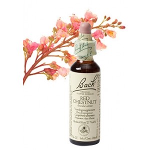 Bach Bloesem Remedie Red Chestnut Lemon Pharma (20ml)-0