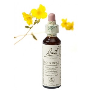 Bach Bloesem Remedie Rock Rose Lemon Pharma (20ml)-0