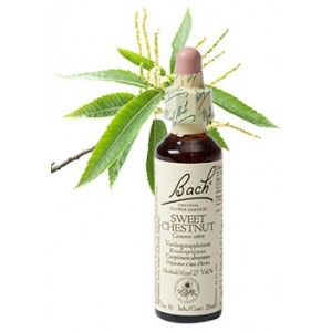 Bach Bloesem Remedie Sweet Chestnut Lemon Pharma (20ml)-0