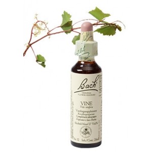 Bach Bloesem Remedie Vine Lemon Pharma (20ml)-0