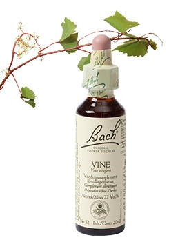 Bach Bloesem Remedie Vine Lemon Pharma (20ml)-0
