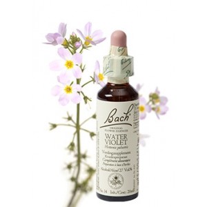 Bach Bloesem Remedie Water Violet Lemon Pharma (20ml)-0