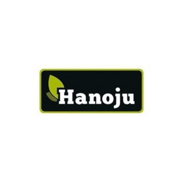 Moringa oleifera heelblad 500 mg Hanoj