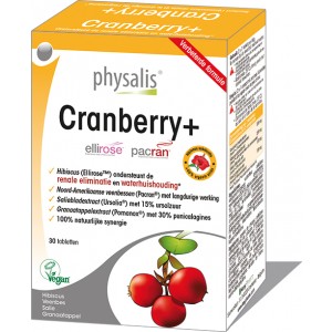 Cranberry + Physalis1