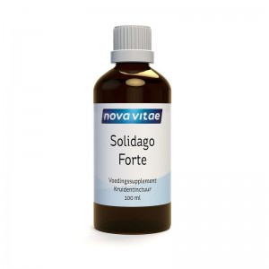 Solidago forte Nova Vitae