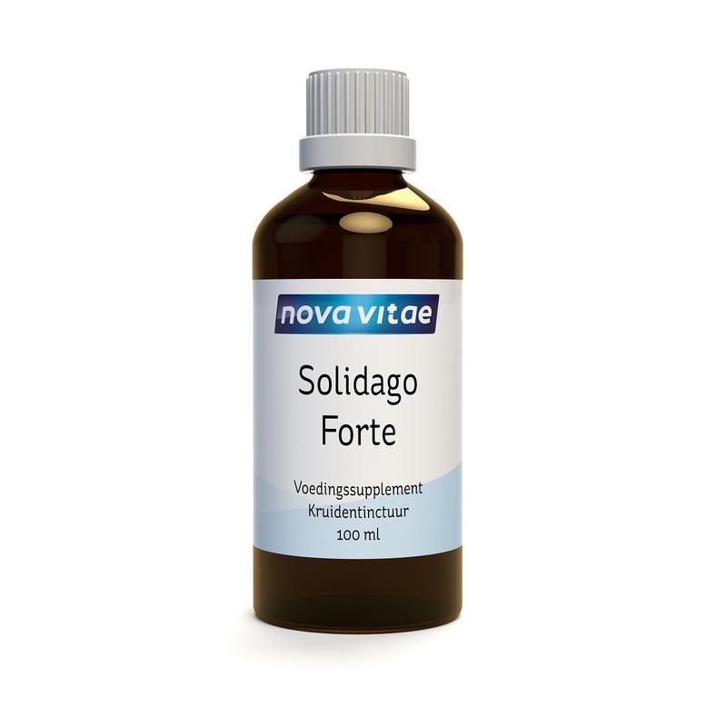 Solidago forte Nova Vitae
