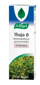 Thuja oer uitwendig