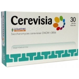Cerevisia