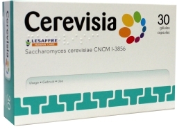 Cerevisia