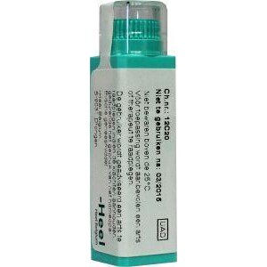 Calcarea sulphurica 10MK