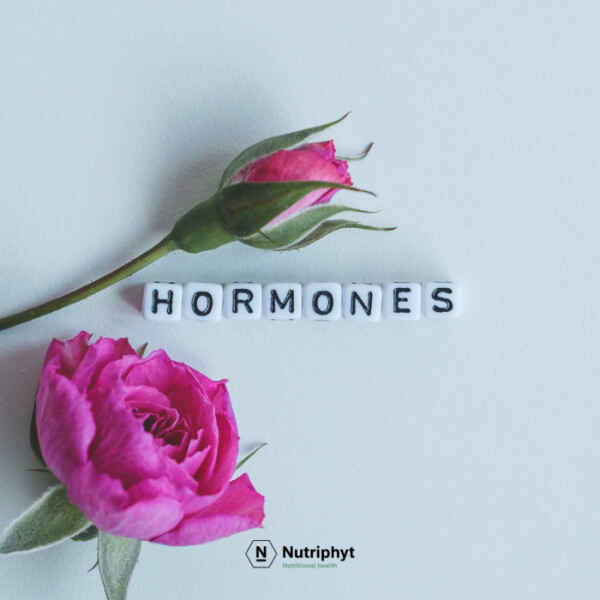 linidol_capsules-hormones