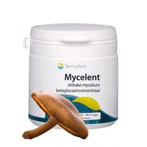 Mycelent shiitake-mycellium Springfield