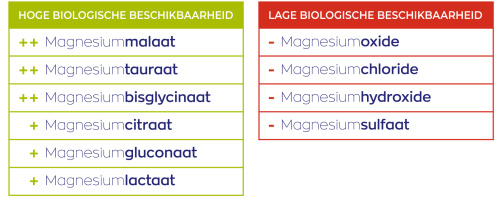 Magnesium-diagram