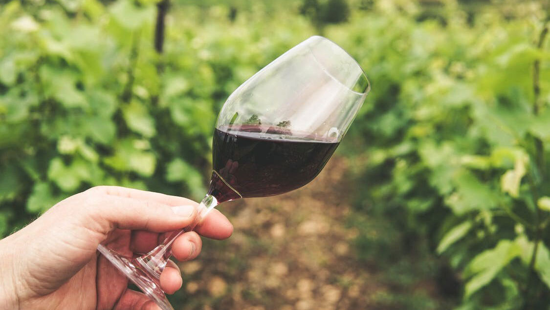 Resveratrol