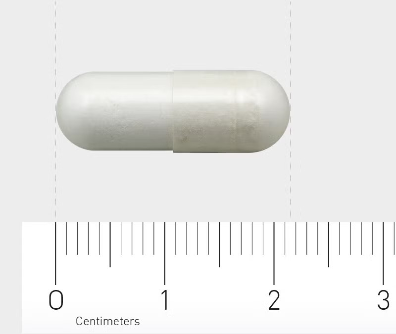 L-Carnosine 60 Vegacap size L-Carnosine 60 Vegacap size