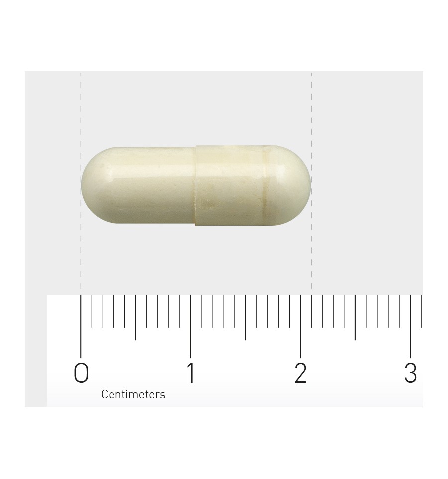 1105-collageen-type-ii-capsule 1105-collageen-type-ii-capsule