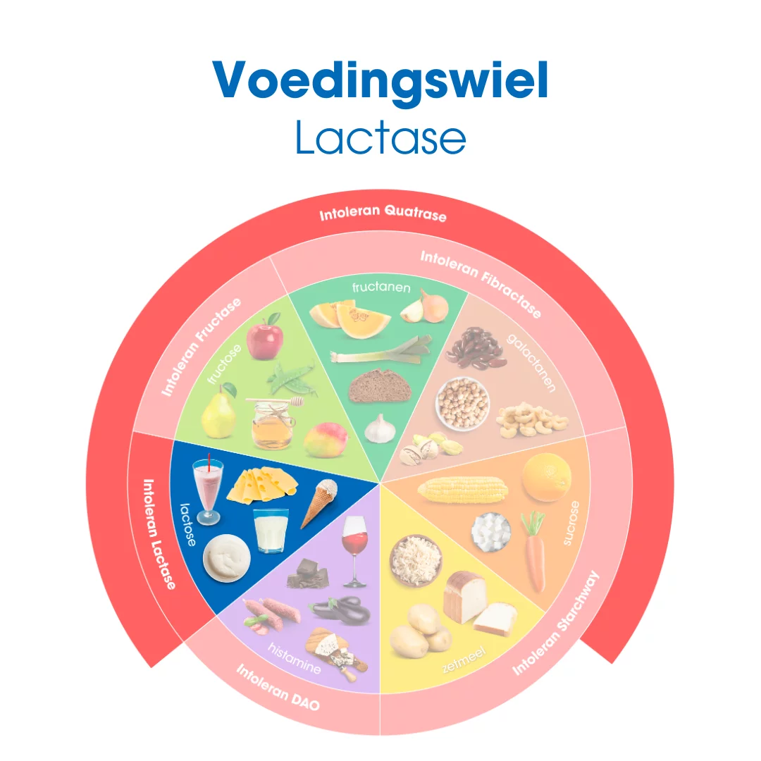 Lactase-drops-voedingswiel Lactase-drops-voedingswiel