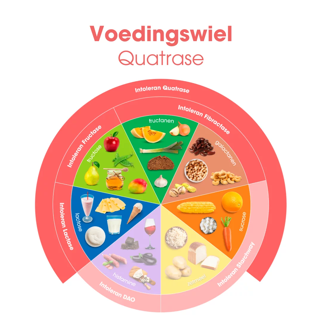 quatrase-5000-voedingswiel quatrase-5000-voedingswiel