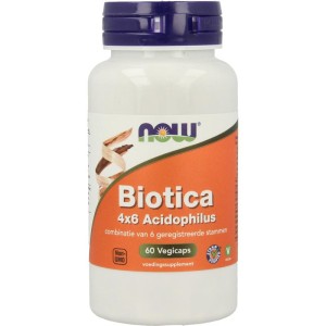 Biotica 4x6 vh probiotica NOW 60vc