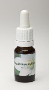 Dagkoekoeksbloem Star Remedies 10ml