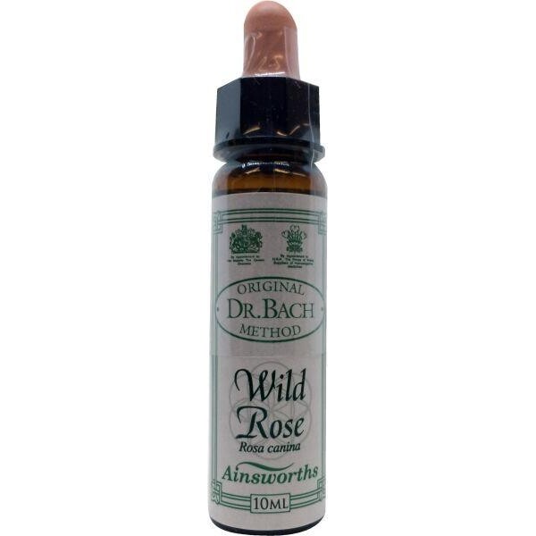 Wild rose Bach Ainsworths 10ml