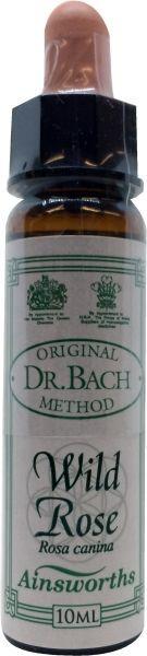 Wild rose Bach Ainsworths 10ml