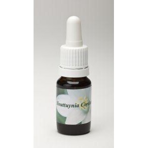 Houttuynia cordata Star Remedies 10ml