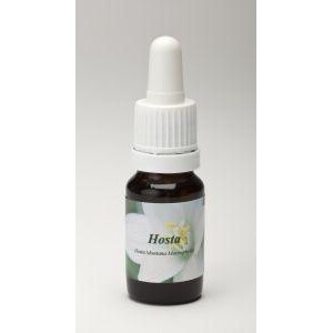 Hosta Star Remedies 10ml