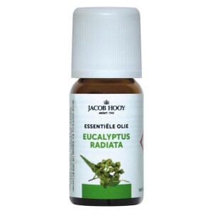 Eucalyptus radiata olie Jacob Hooy 10ml