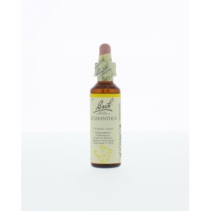 Bach Scleranthus / hardbloem