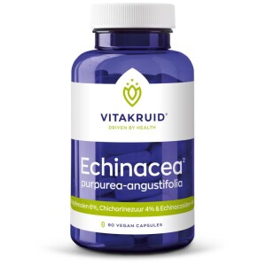 Echinacea 600 potje voorkant